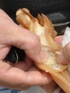 江西赣州查获人造猪耳,成分为明胶和油酸钠合成