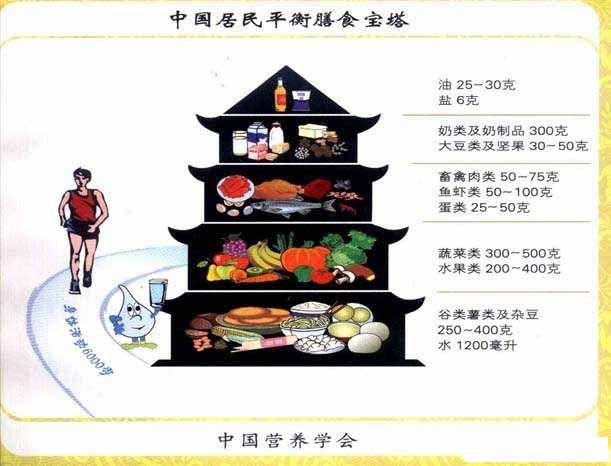 营养宝塔