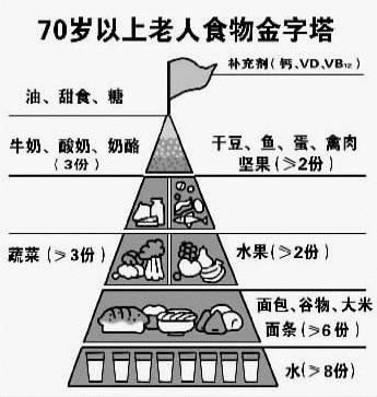 营养宝塔