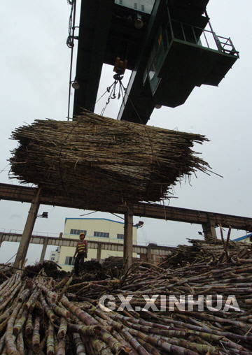 南宁糖业股份有限公司 伶俐糖厂 原料场一工人