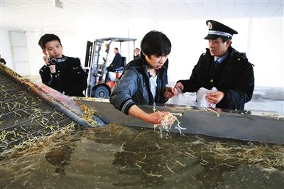 执法人员正让一名员工从洗豆芽池内取样，准备带回检测化验。