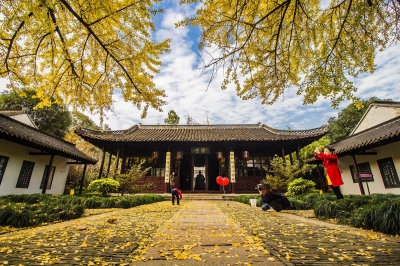 2016肉类食品安全健康行活动启动 金锣员工宣誓捍