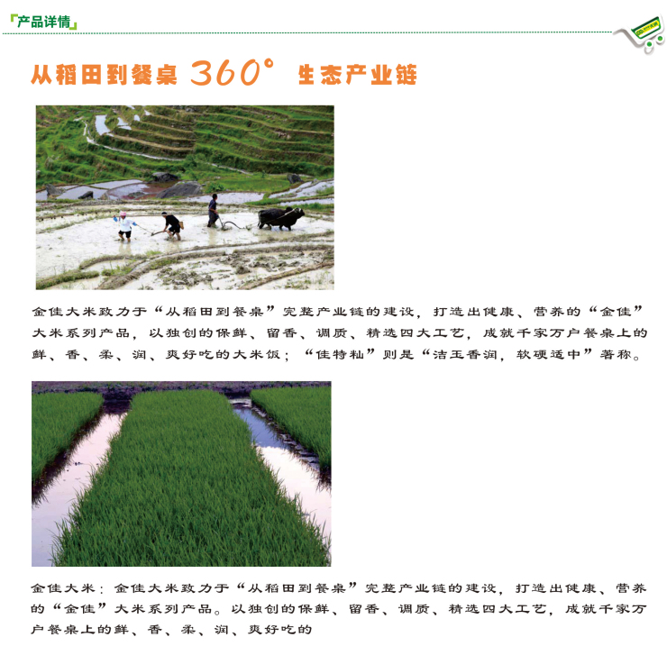 金佳佳特籼 25kg