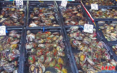 按此在新窗口浏览图片