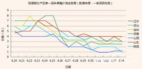 草莓遭遇市场危机 主产区价格暴跌四成 _