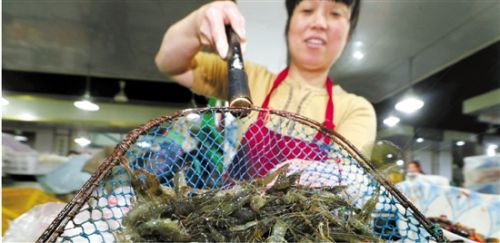 河虾大年最便宜最肥美 价格却在跳水 _