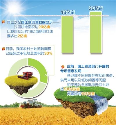 三部委召开高规格会议提出 像保护大熊猫一样保护耕地