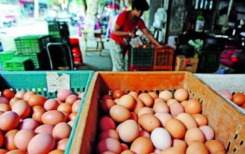全国鸡蛋价格出现止降回升迹象 _