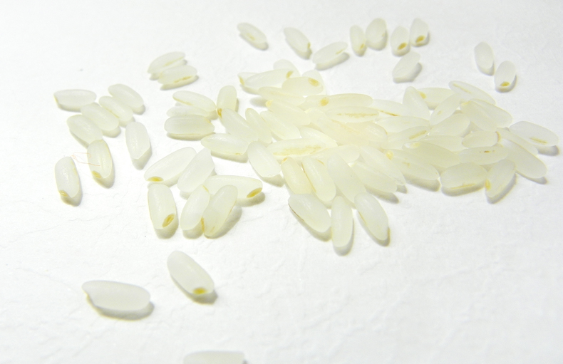 赛亚 留胚米 胚芽米 粳米 宝宝香米 新大米 绿色食品