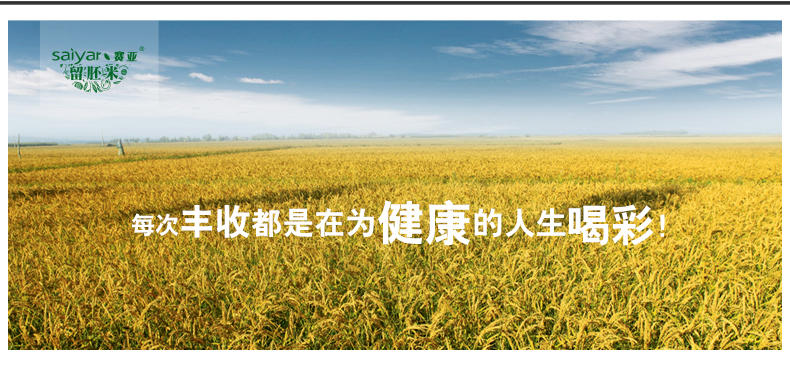 赛亚 留胚米 胚芽米 粳米 宝宝香米 新大米 绿色食品