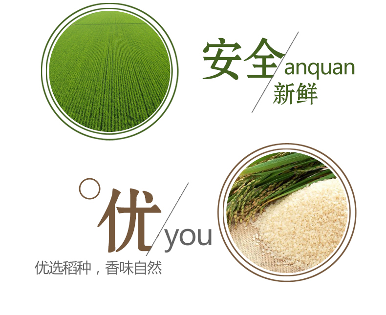 赛亚 留胚米 胚芽米 粳米 宝宝香米 新大米 绿色食品
