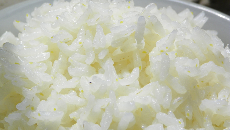 赛亚 留胚米 胚芽米 粳米 宝宝香米 新大米 绿色食品