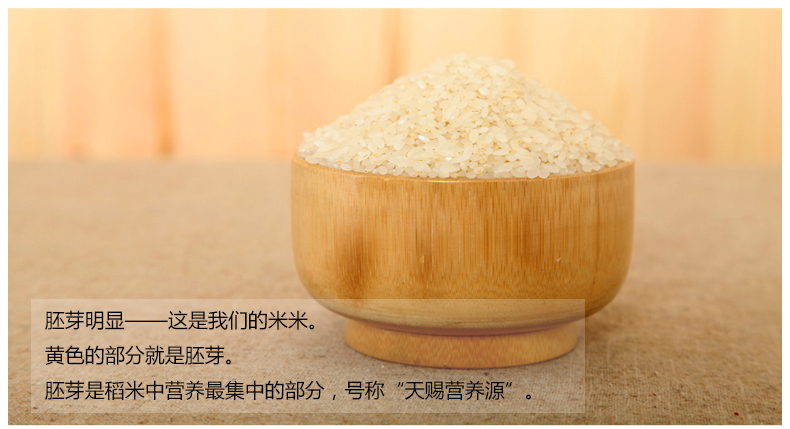赛亚 留胚米 胚芽米 粳米 宝宝香米 新大米 绿色食品