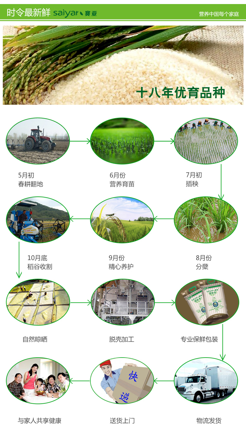 赛亚 留胚米 胚芽米 粳米 宝宝香米 新大米 绿色食品