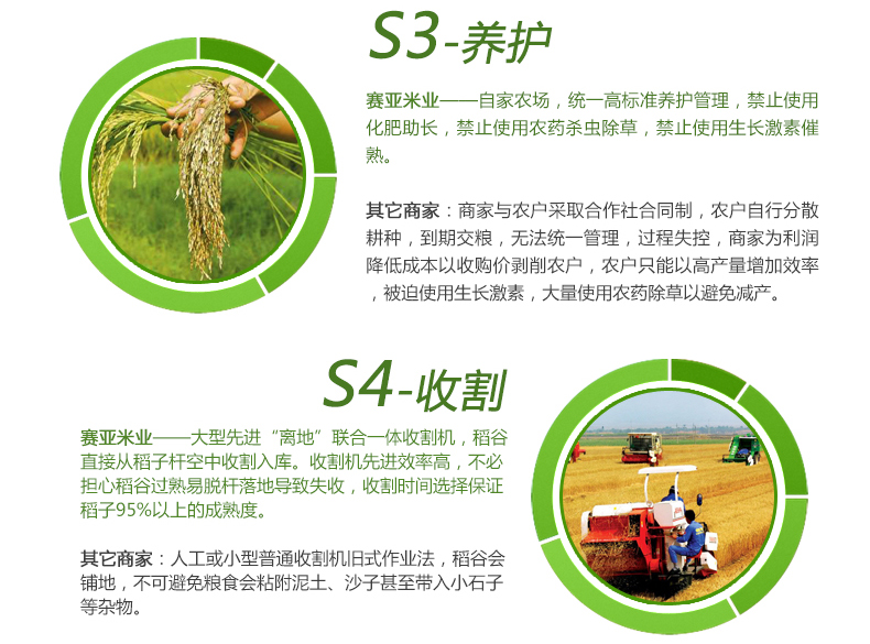 赛亚 留胚米 胚芽米 粳米 宝宝香米 新大米 绿色食品