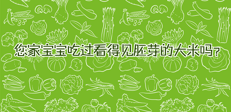 赛亚宝宝粥米1.5kg 婴儿粥米宝宝辅食儿童胚芽米绿色食品新米