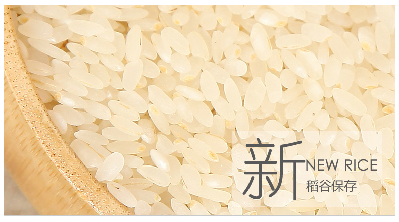 赛亚宝宝粥米1.5kg 婴儿粥米宝宝辅食儿童胚芽米绿色食品新米