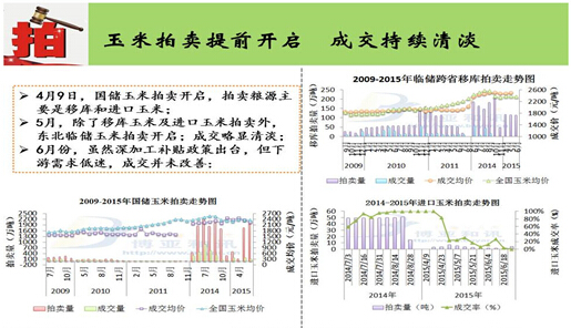 2015上半年玉米市场热点