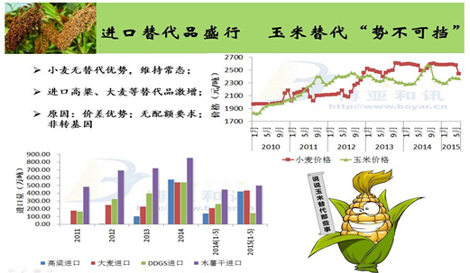 2015上半年玉米市场热点