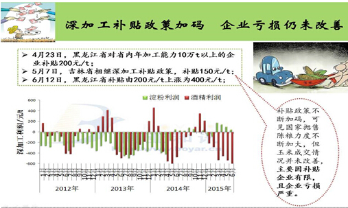 2015上半年玉米市场热点