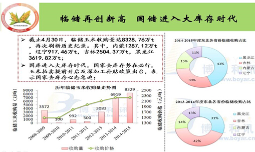 2015上半年玉米市场热点