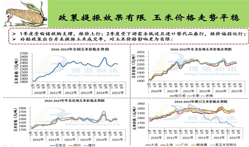 2015上半年玉米市场热点