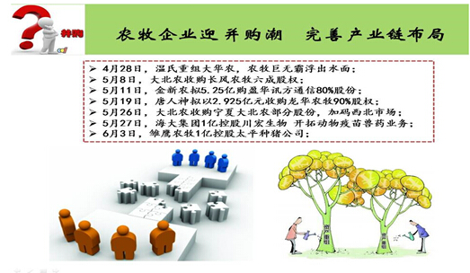 2015上半年玉米市场热点