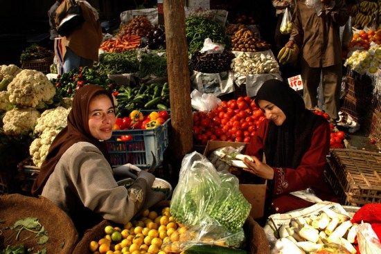 报告：2015年全球粮食不安全状况依然令人担忧
