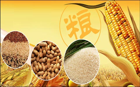 粮食生产绝对不能掉以轻心