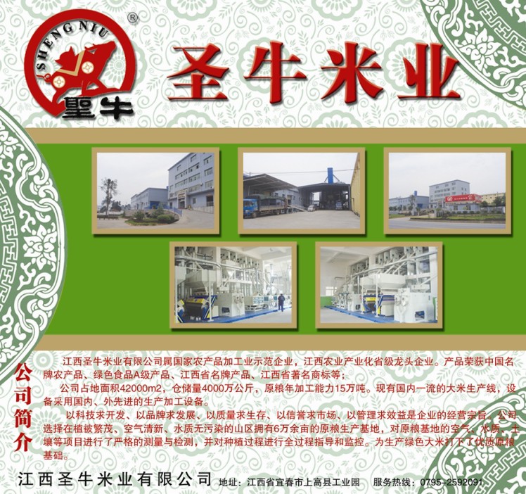 圣牛泰香米