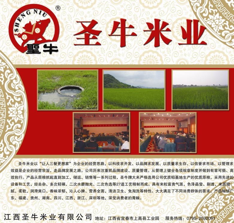 圣牛泰香米