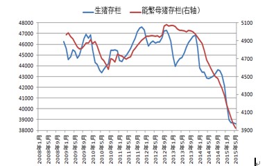  玉米新政策的实施或是一个转折点