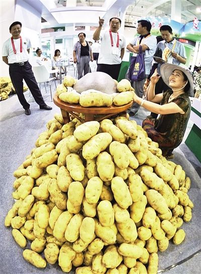 我国成马铃薯生产消费第一大国 土豆主食产业化条件具备