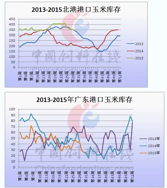 到底够不够，优质玉米迎来考验