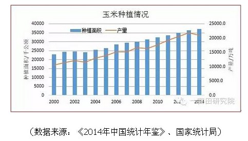  玉米市场扭曲 临储骑虎难下