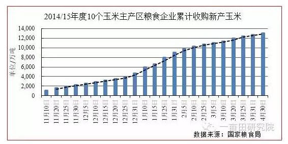  玉米市场扭曲 临储骑虎难下