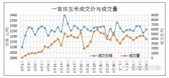  玉米市场扭曲 临储骑虎难下