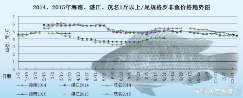 罗非鱼价格周报：外贸订单少 短期鱼价上涨受限 _