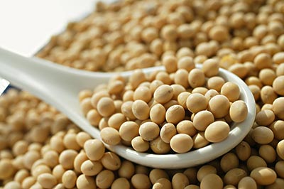 中国大豆进口量或出现十年来首次下滑- - 粮油市场报主办