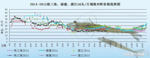 对虾塘边价：节前销量不明朗 虾价涨幅不大_