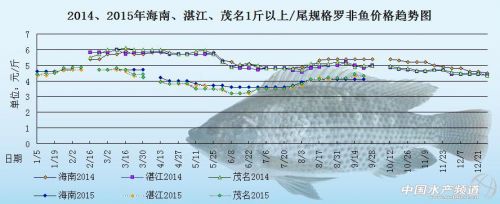 罗非鱼价格周报：整体销量差 短期鱼价难涨 _