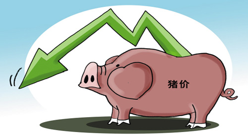 供需环境迥异 猪价国际国内两重天 _