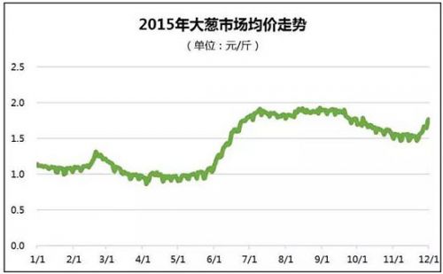 葱农：年初贱卖烂地里 年底每天涨1毛钱_