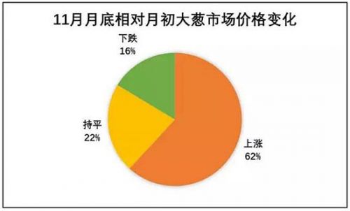 葱农：年初贱卖烂地里 年底每天涨1毛钱_
