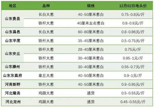 葱农：年初贱卖烂地里 年底每天涨1毛钱_
