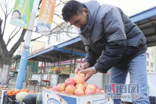 山东文登：苹果丰产价格下跌 不少果农选择冷贮观望 _