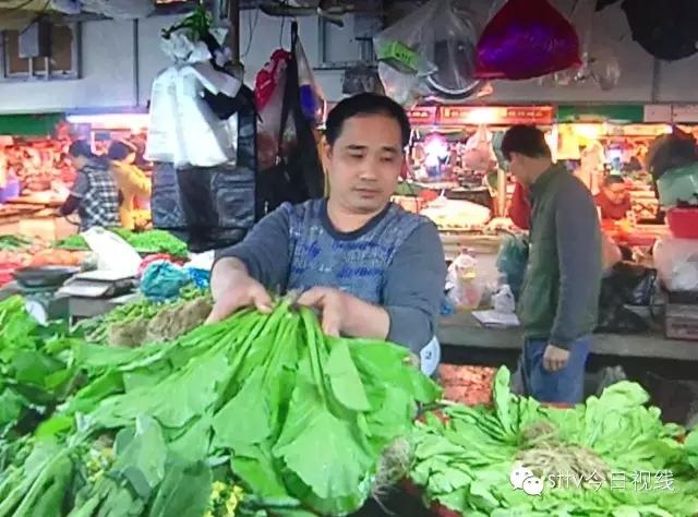 菜价如此高，即使烂地里也不想给城里人吃？_