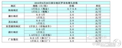 气温高致使罗非鱼发病，短期鱼价趋向下行 _