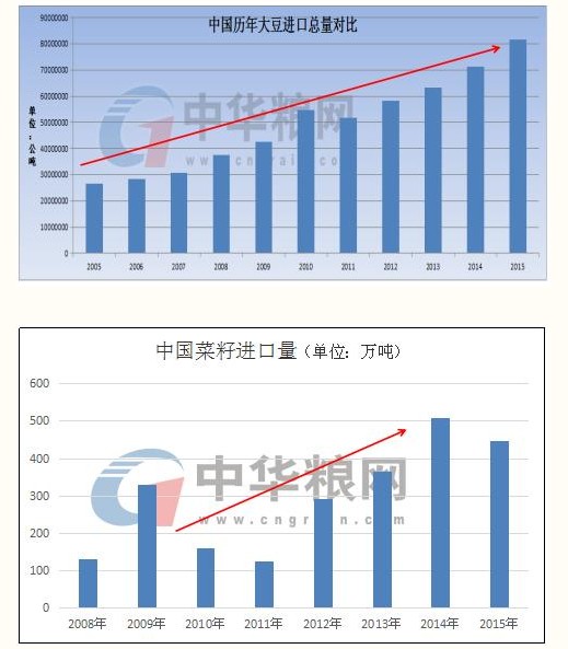看点不一样的—菜籽大豆“喜”别离