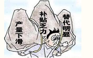  看点不一样的—菜籽大豆“喜”别离